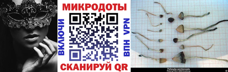 Купить  Долинск  Псилоцибиновые грибы Magic Shrooms 